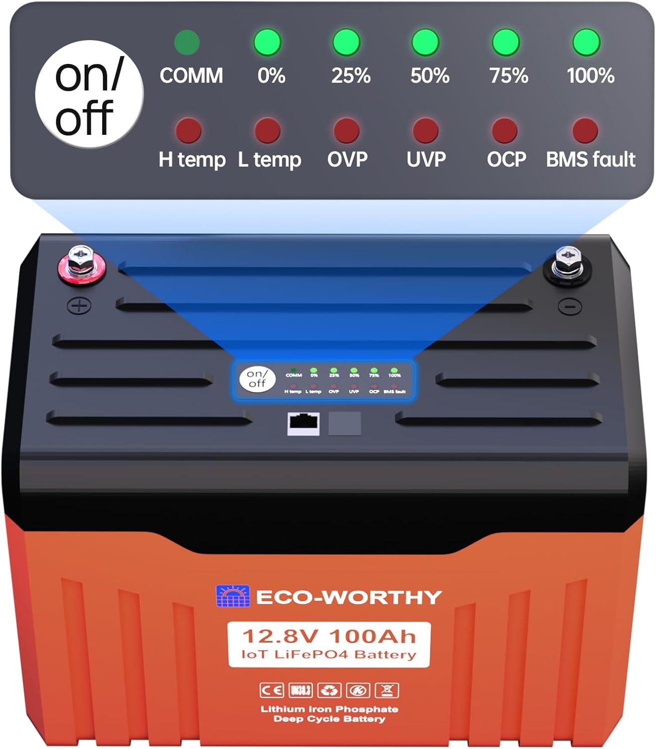 ECO-WORTHY 12V 100AH​ LiFePO4 Lithium Battery with Battery Status Display, 100A BMS with Low-Temp Pr - B0D7C6M8VF