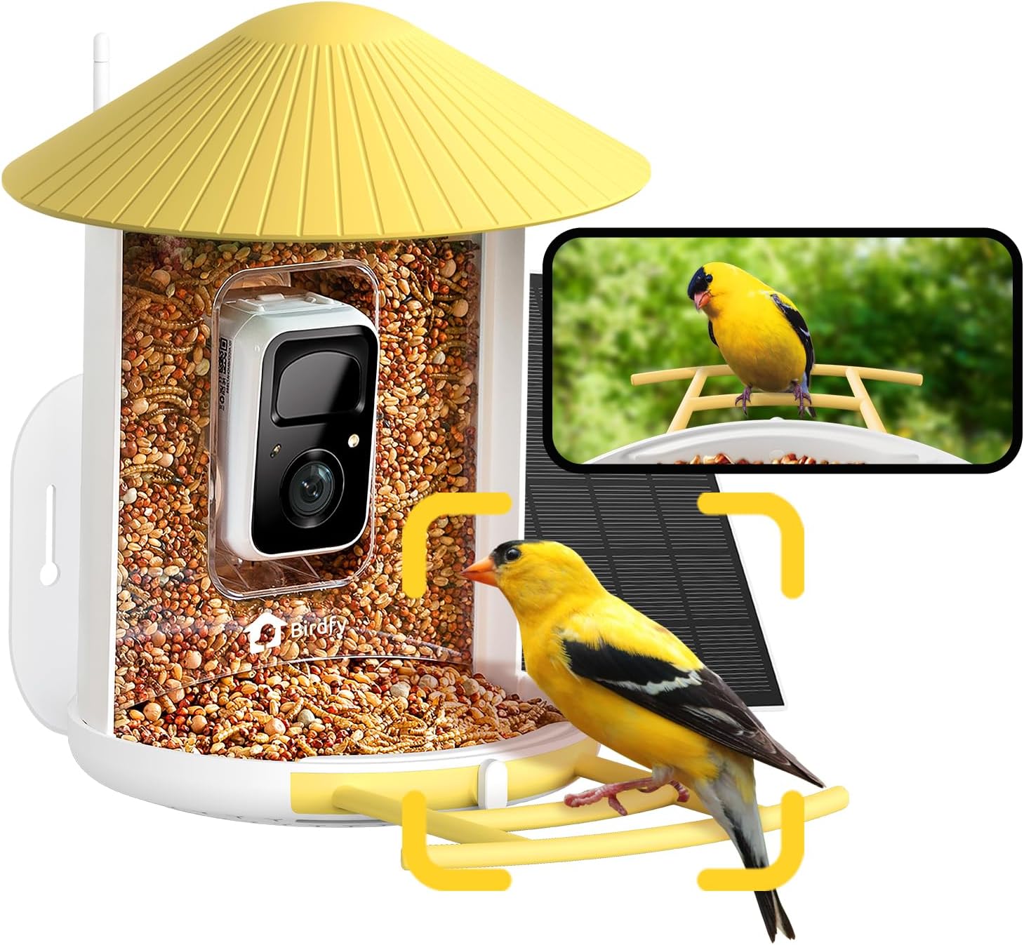 NETVUE Birdfy AI Smart Bird Feeder with Camera, Solar Powered, Lifetime AI Auto Capture and - B0BB6997V1