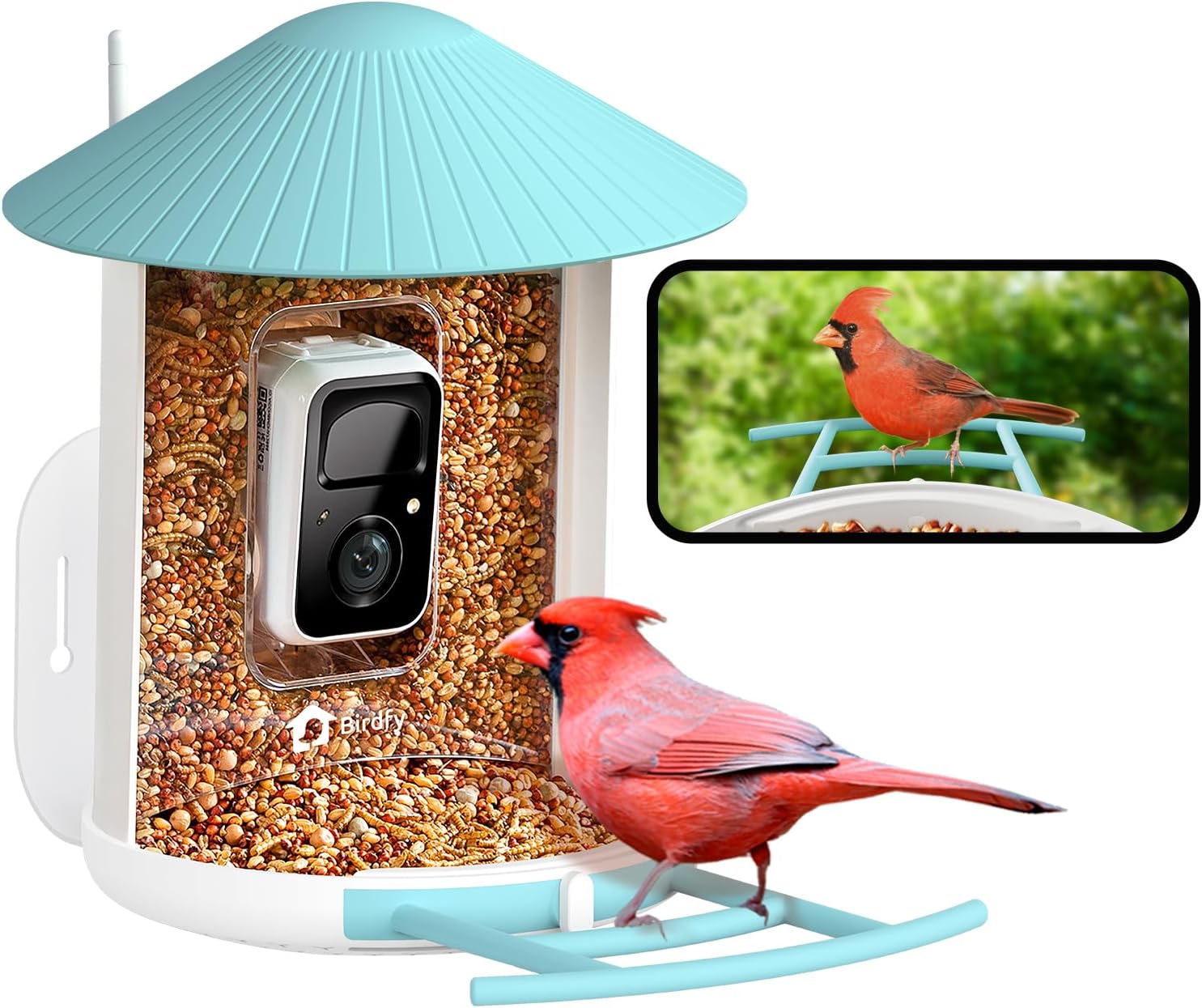 NETVUE by Birdfy Smart Bird Feeder with Camera, Bird Watching Camera, Auto Capture Video & - B0B56BVWBM
