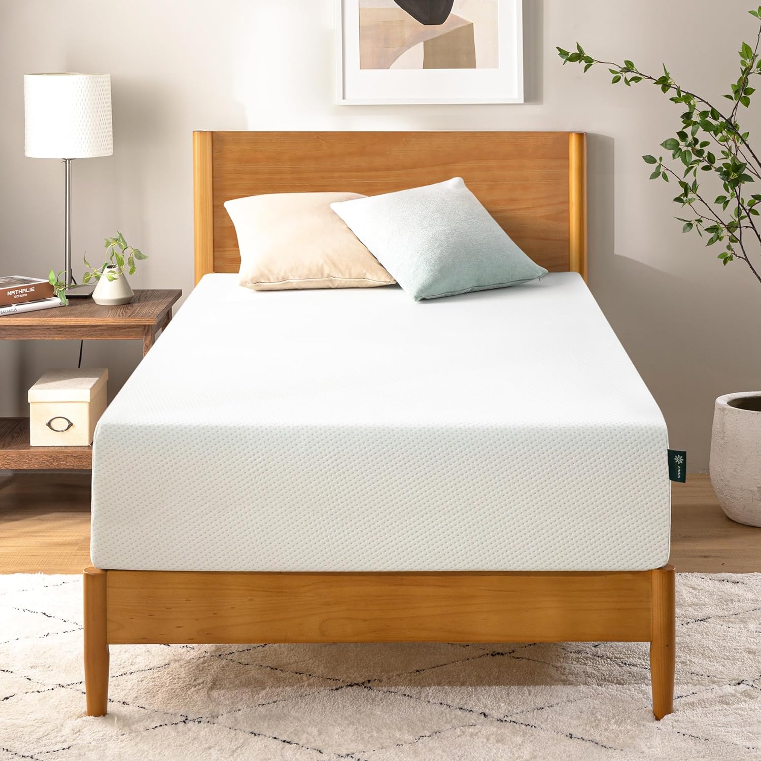 ZINUS 10 Inch Green Tea Memory Foam Mattress [New Version], Twin, Fiberglass free, Medium Firm - B0CKYYZMY3